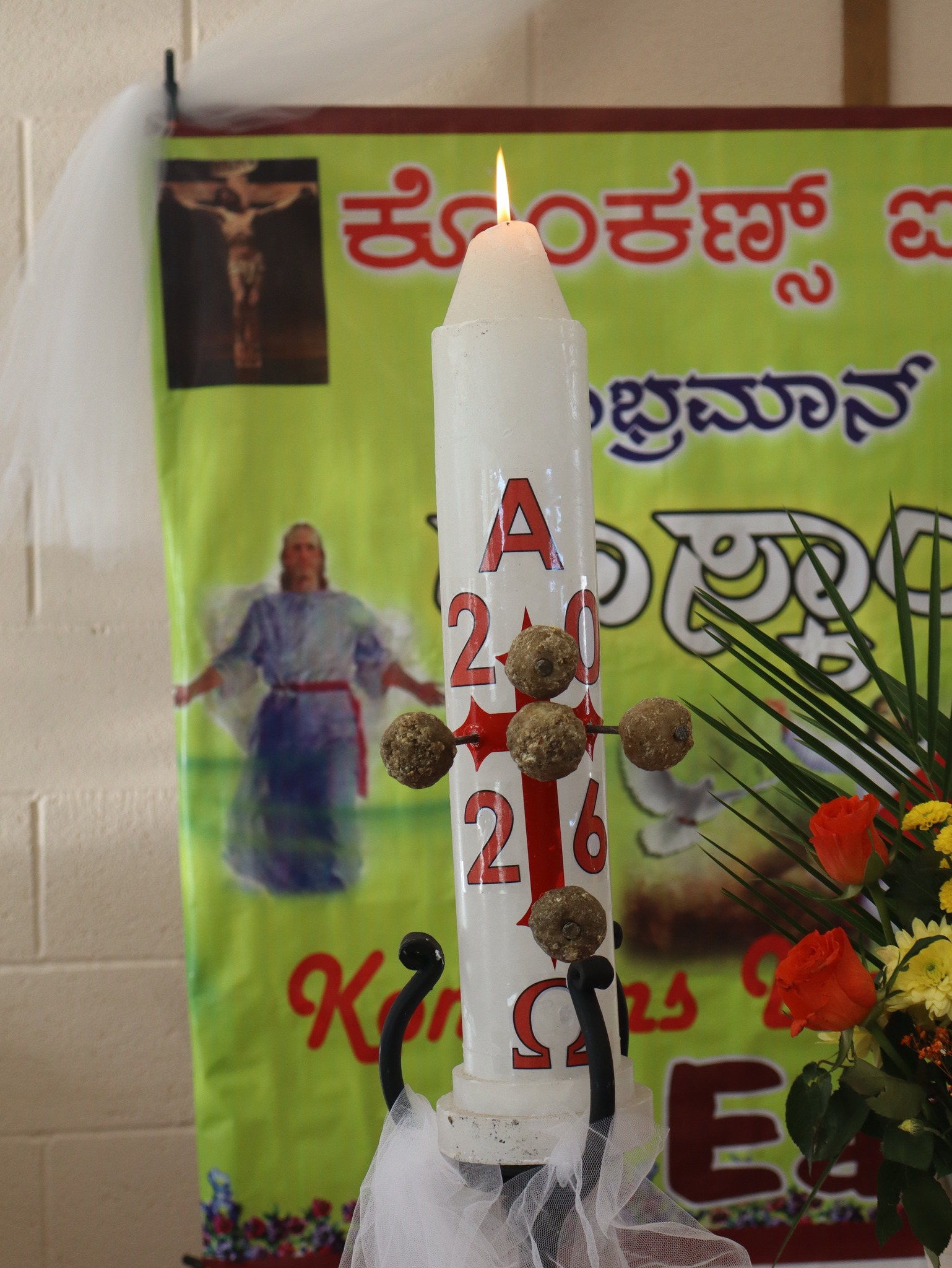 Konkans Ireland Easter 2026 photo 6